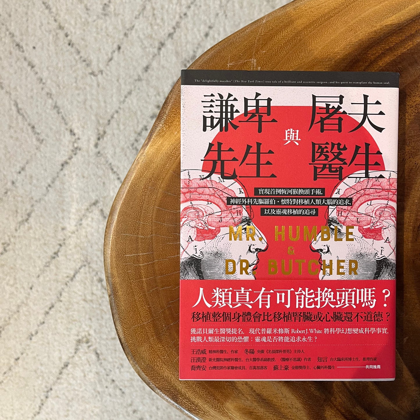 《謙卑先生與屠夫醫生》布蘭迪·席萊斯;徐仕美 譯